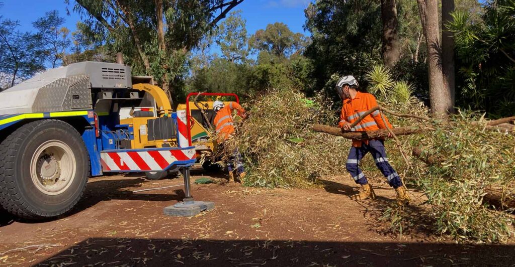 Professional Stump Grinding