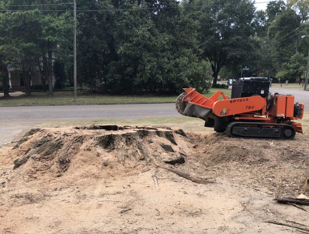 Professional Stump Grinding