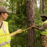 Arborist North Sydney